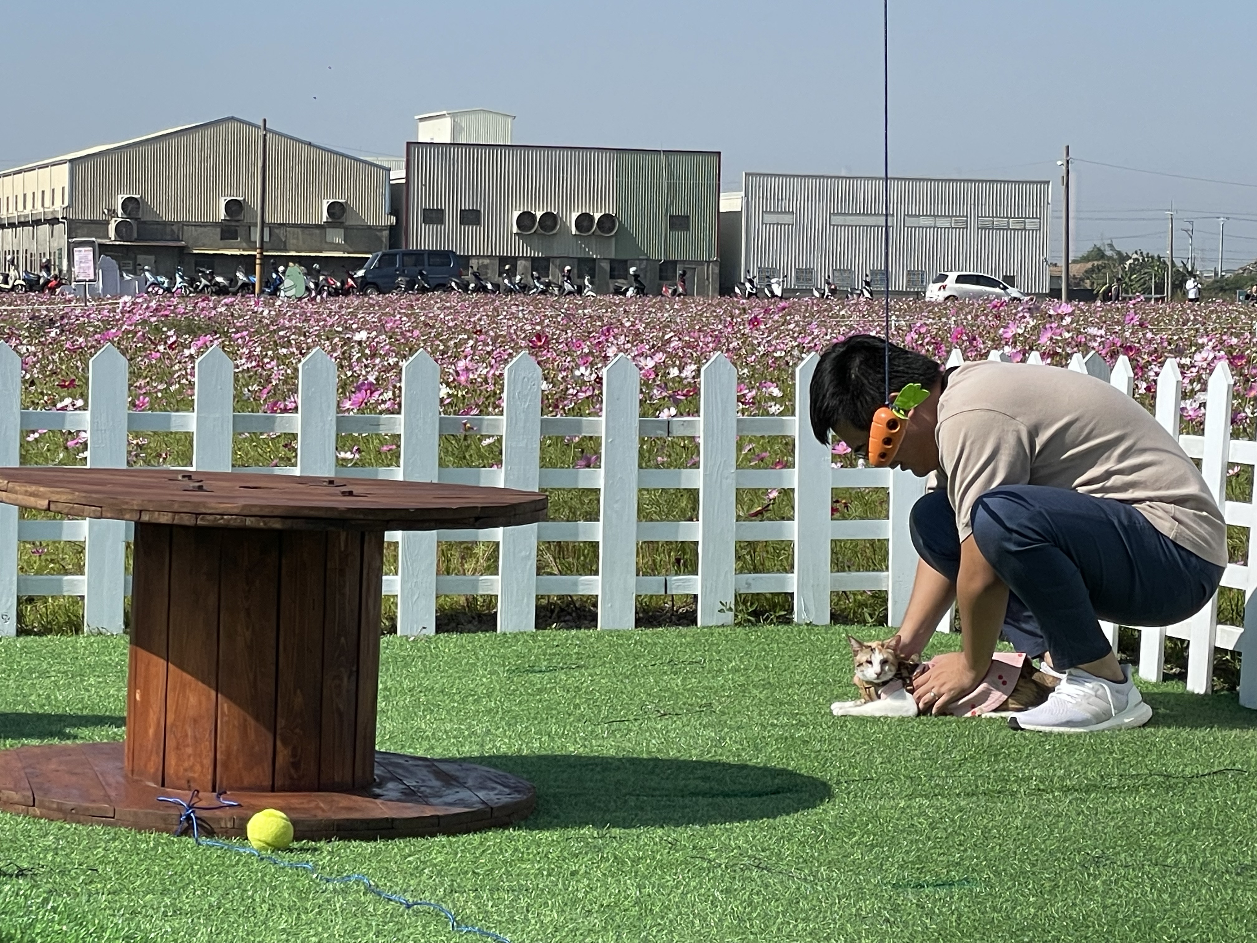 花現龍井-當毛怪遇見豐獸19