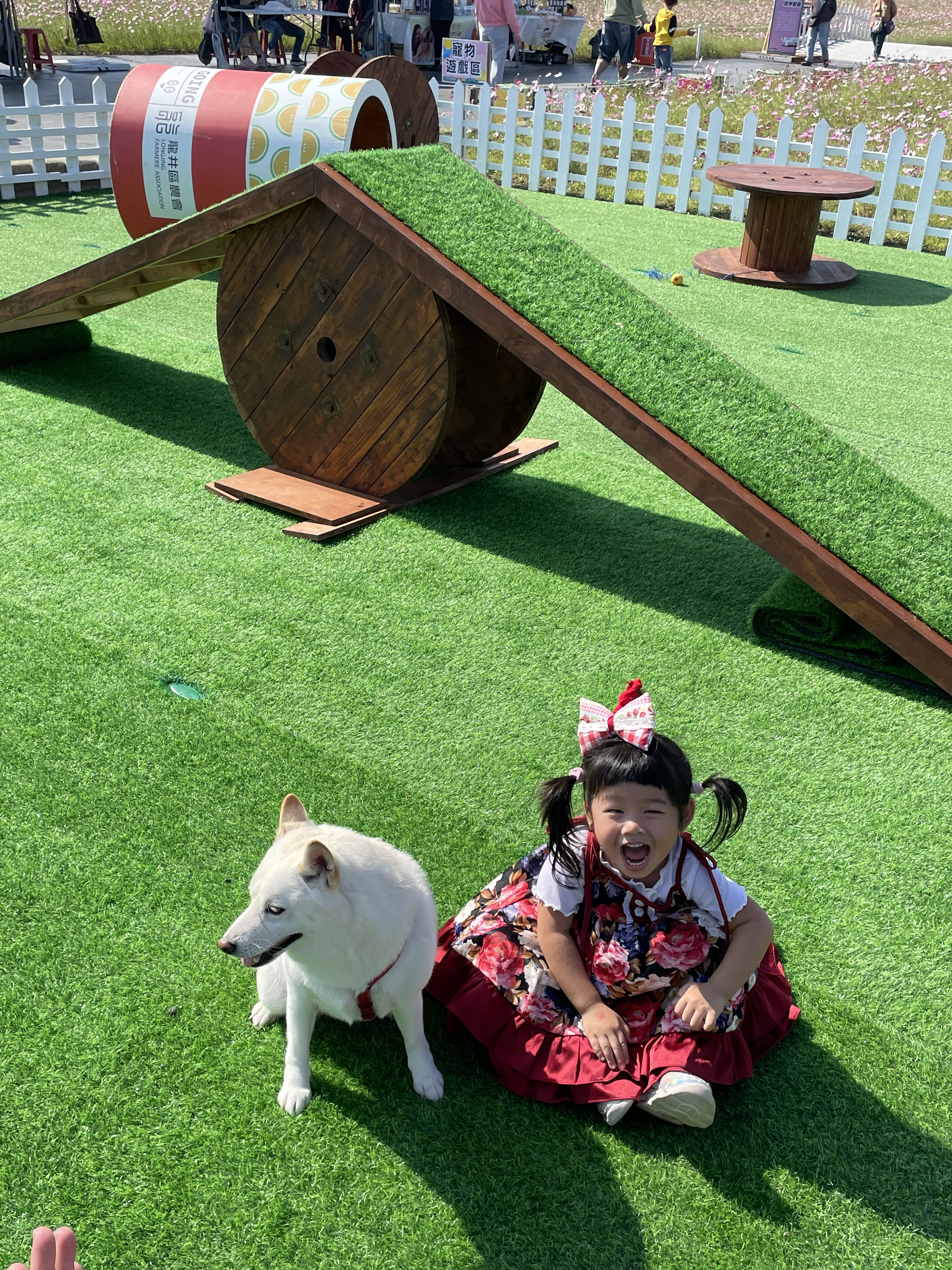 花現龍井-當毛怪遇見豐獸11