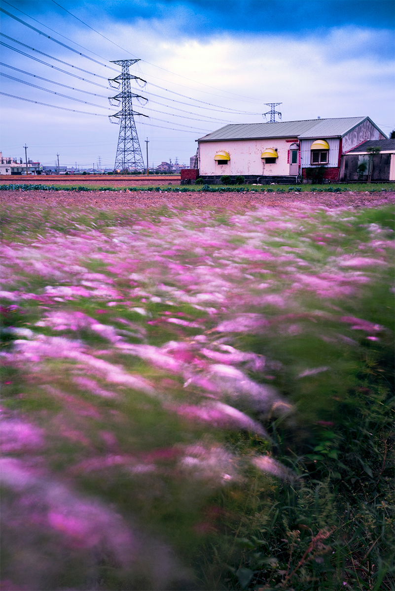 16佳作08-林誌聰-田野風光