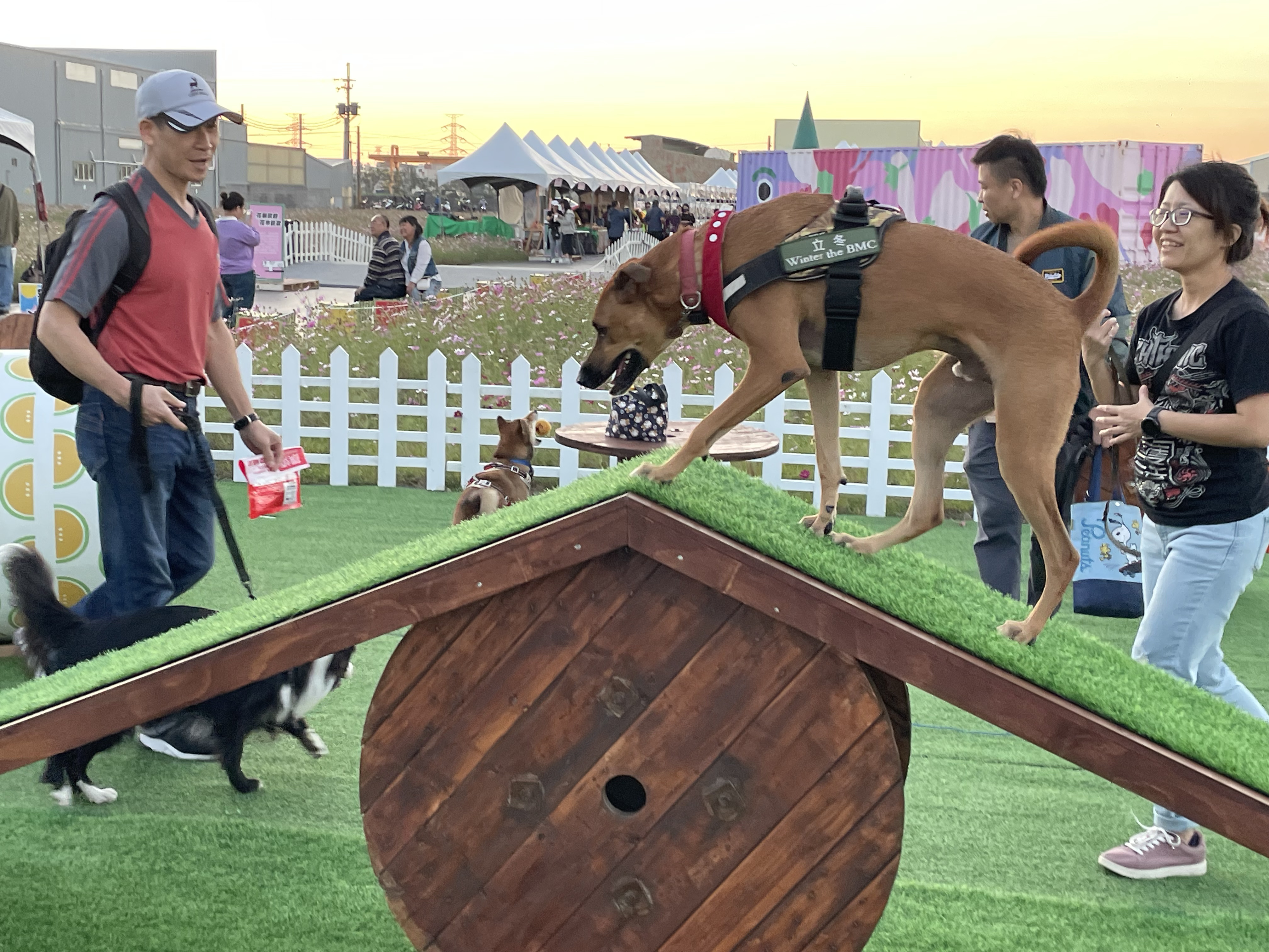 花現龍井-當毛怪遇見豐獸14