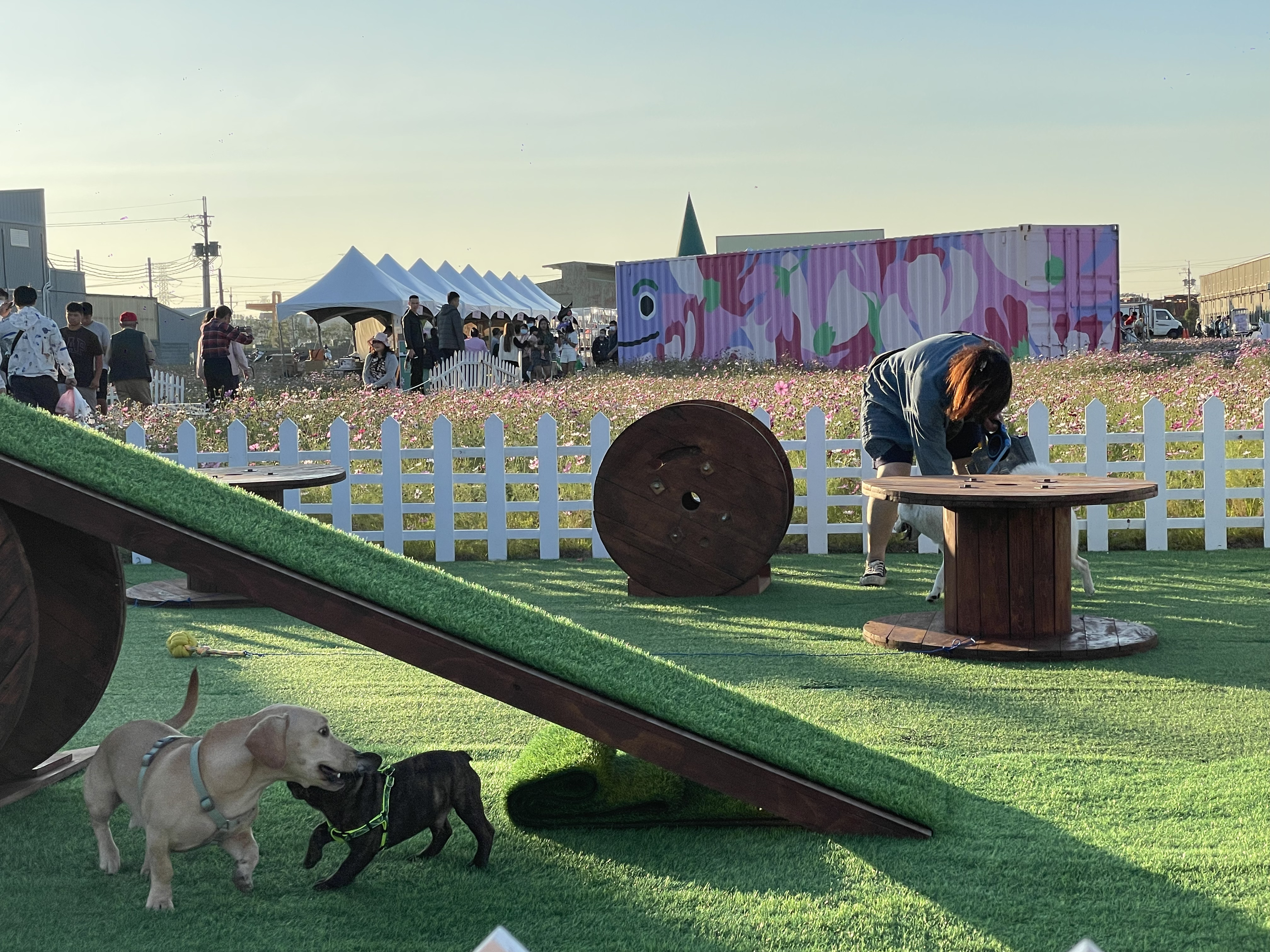 花現龍井-當毛怪遇見豐獸21