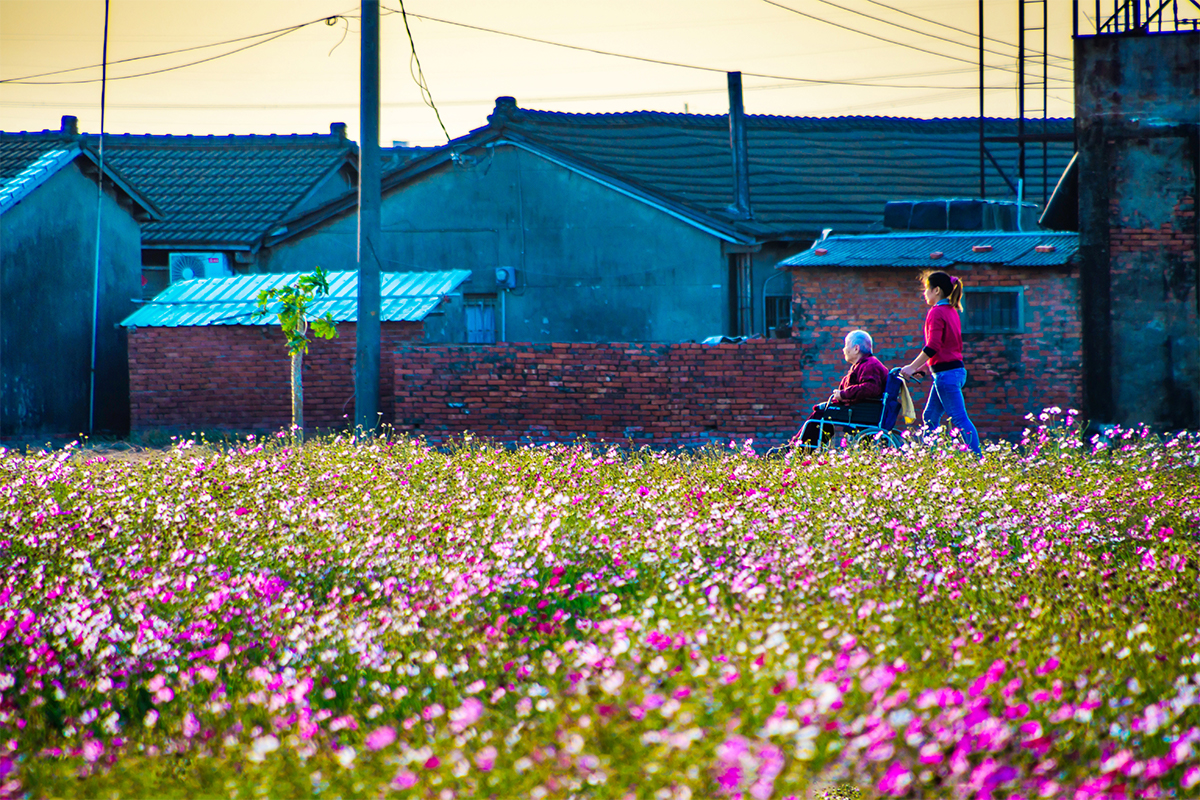 27佳作19-陳雅慧-陪奶奶賞花