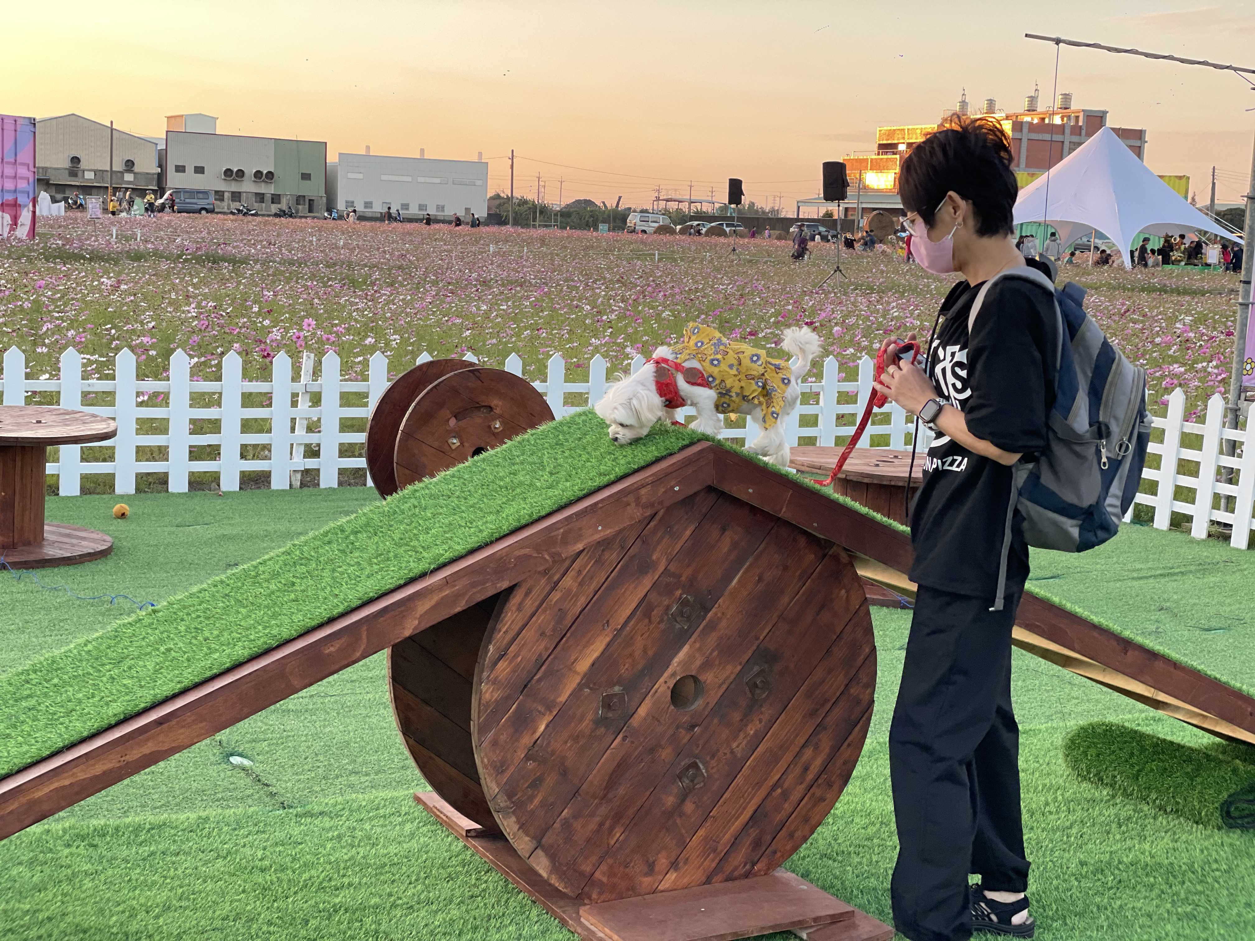 花現龍井-當毛怪遇見豐獸22