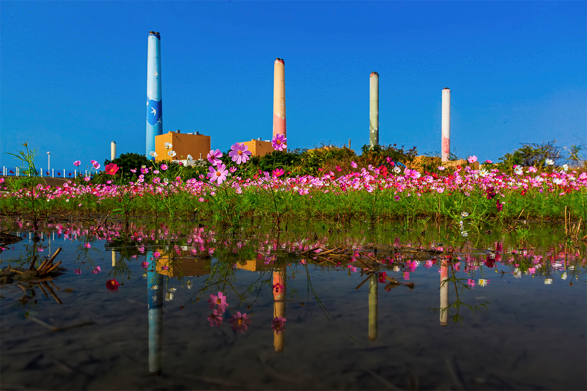 33佳作25-潘同正-花與煙囪的對話