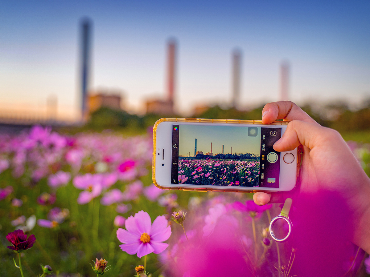 20佳作12-張雅媛-花視界